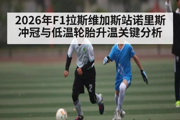 2026年F1拉斯维加斯站诺里斯冲冠与低温轮胎升温关键分析 | kaiyun